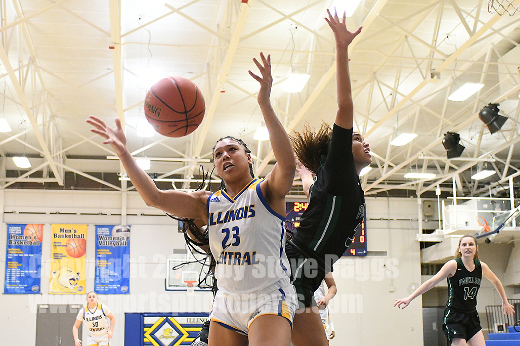 ICCvPKC_0207_DSC_8013