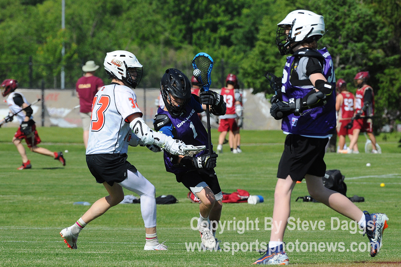 WDMvWK2_0601_DSC_8239