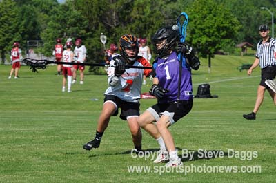 WDMvWK2_0601_DSC_8202