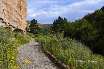 7 Bandelier Trail