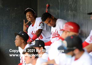 PCCvQDC_0519_DSC_6275